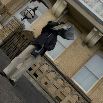 Person walking with a suitcase on a street, viewed from above